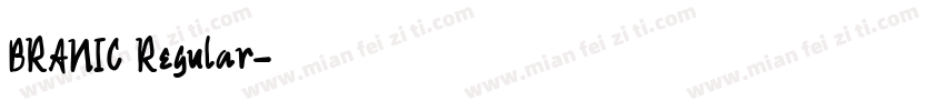 BRANIC Regular字体转换
